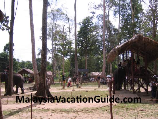 Compound of Kuala Gandah Elephant Sanctuary